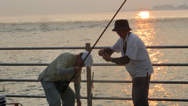 d0181492_07143.jpg