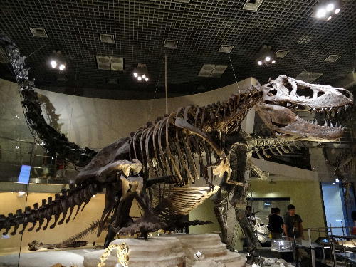 c0321294_10415285.jpg