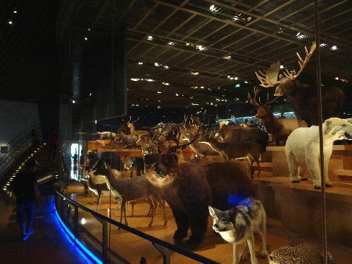 c0321294_22011462.jpg