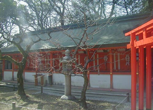 ●神社の造形―北野天満宮_d0053294_1553278.jpg