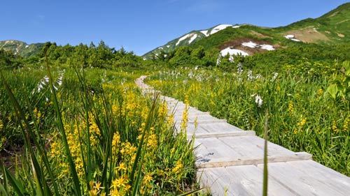 蓮華温泉起点で朝日岳雪倉岳周回　その１_a0157297_00094195.jpg