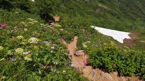 蓮華温泉起点で朝日岳雪倉岳周回　その１_a0157297_00134119.jpg