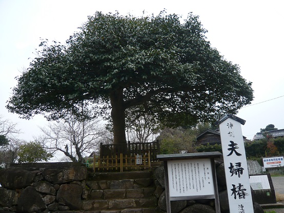 あけましておめでとうございます。八重垣神社_e0354697_15050637.jpg