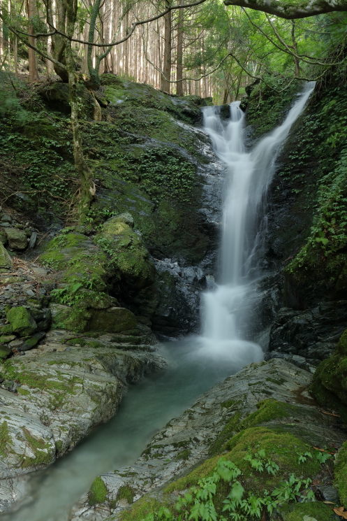 c0278800_9301859.jpg