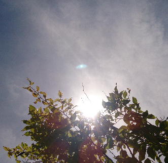 e0149215_21584356.png