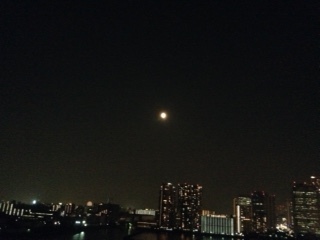 ブルームーン_b0211926_20281122.jpg