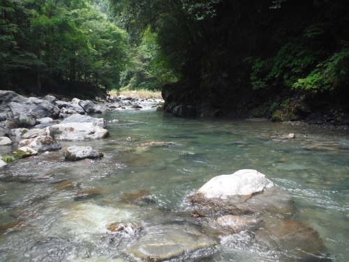 初めてのK川T川釣行　その２_c0149633_17410995.jpg