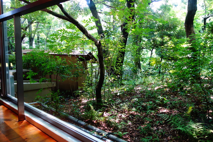 a0287336_2195591.jpg