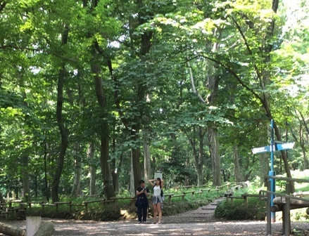 b0330040_22401863.jpg