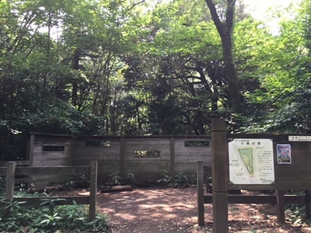 都会のオアシス　井の頭（恩賜）公園（１）_b0330040_22560968.jpg