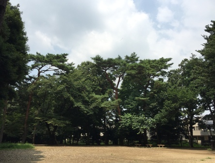 都会のオアシス　井の頭（恩賜）公園（１）_b0330040_22584761.jpg