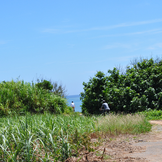 ヨンナーサイクル久米島_c0191542_1552587.jpg