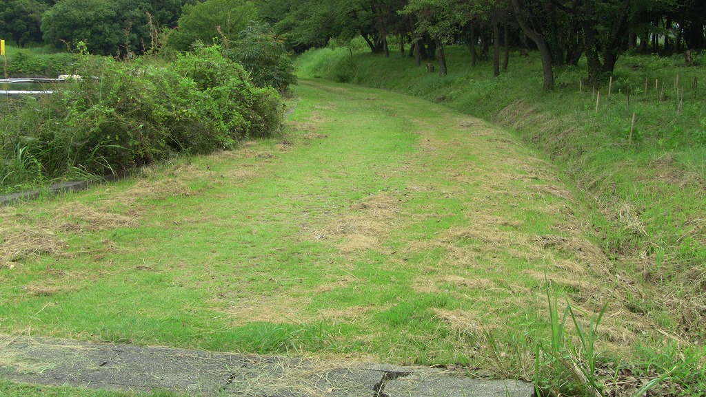 あじさい散策路の草刈２７－２_f0313744_9102590.jpg