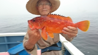 c0306546_12543587.jpg