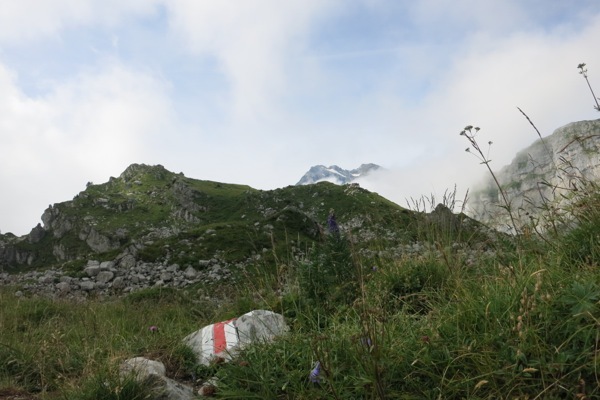 e0356046_17315093.jpg