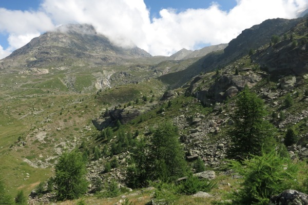 e0356046_20131942.jpg