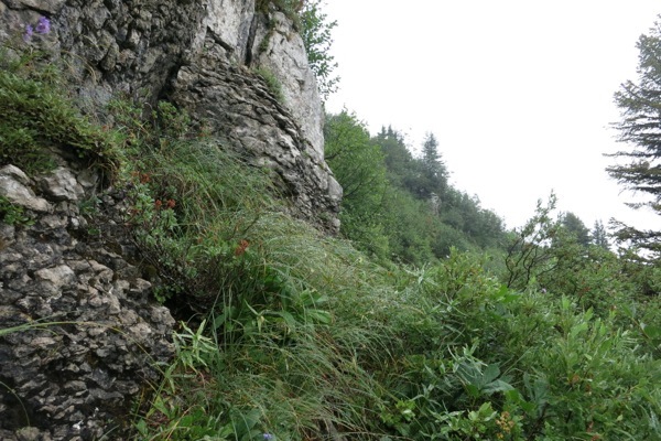 e0356046_20562264.jpg