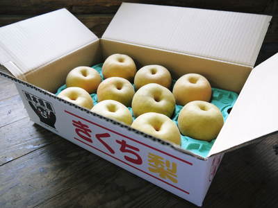 熊本梨 本藤果樹園 平成27年度の「幸水(こうすい)」本日初出荷!!朝採り収穫の様子を密着取材!!_a0254656_1884481.jpg