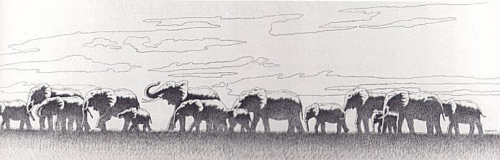 f0134963_14004280.jpg