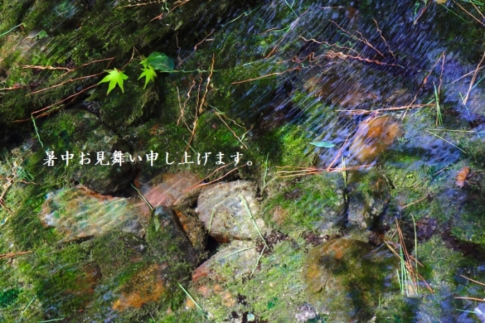 c0330365_00182021.jpg