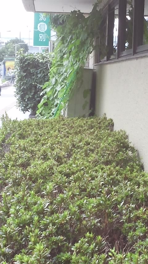 f0200871_10474550.jpg