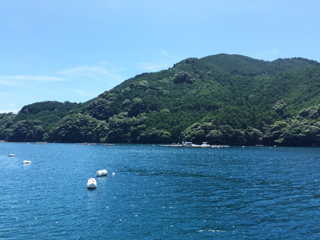 網干場（あばば）　地産地消の食堂　夏休みに最高の思い出を＾＾　尾鷲市九鬼町_d0258976_2281869.jpg