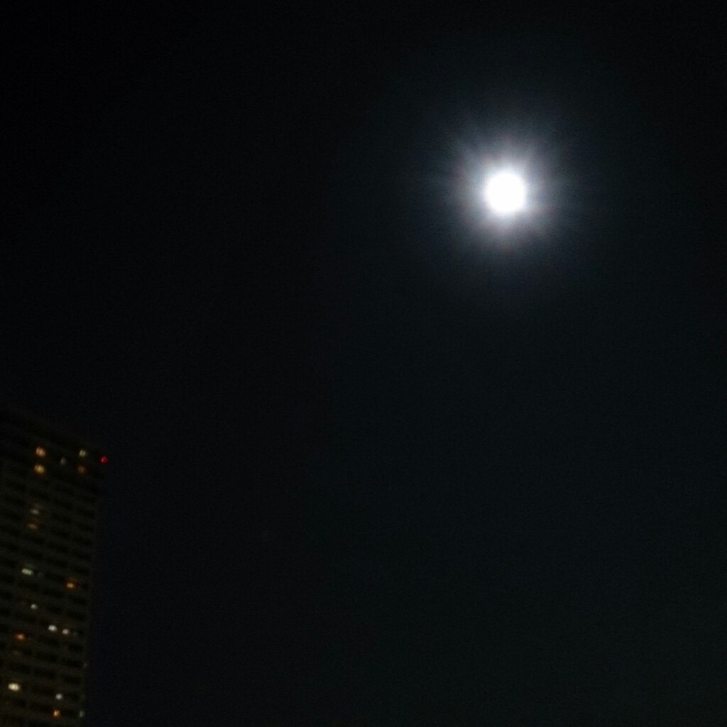 f0184876_23070816.jpg