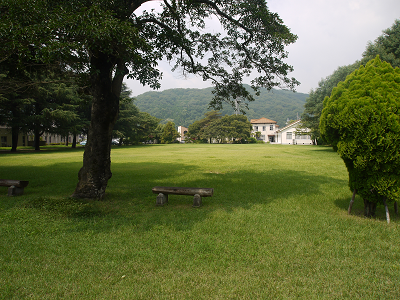 d0238083_2331941.png