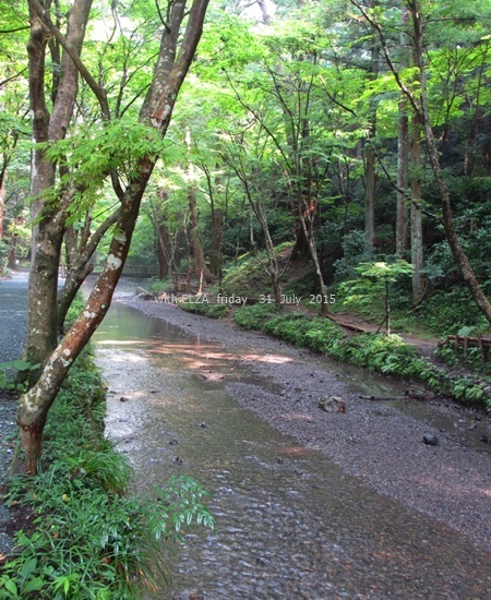 c0324285_18325157.jpg