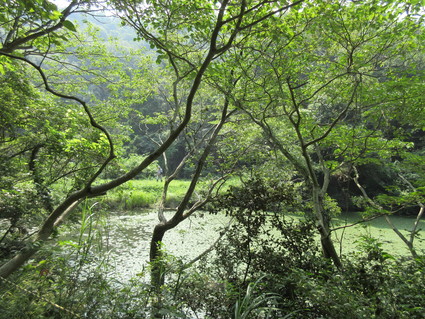 f0053885_193917.jpg