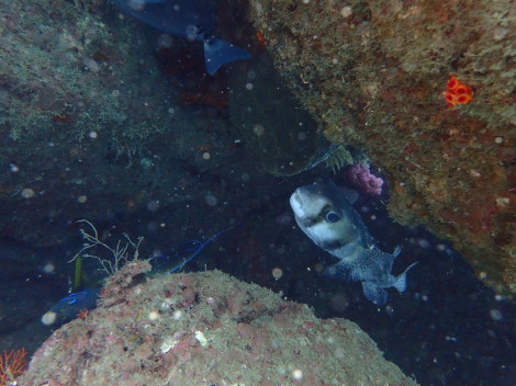 e0115199_20072037.jpg