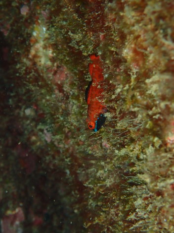 e0115199_20081135.jpg