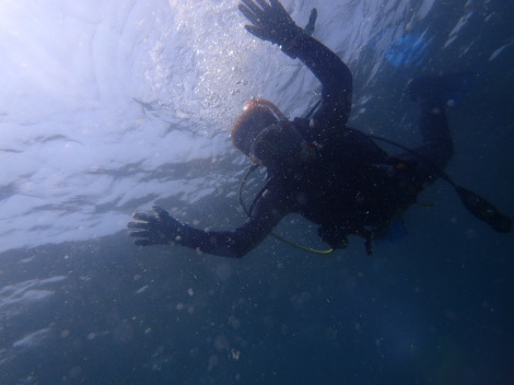 e0115199_20205229.jpg