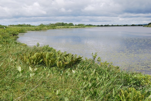 c0124100_16505265.jpg