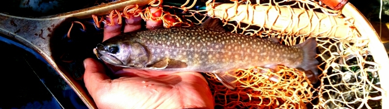f0266202_22425233.jpg