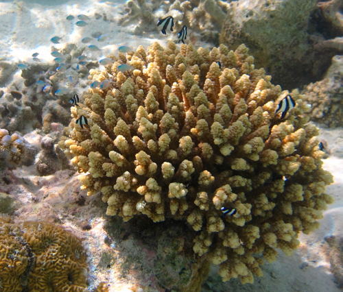 e0338303_13565699.jpg