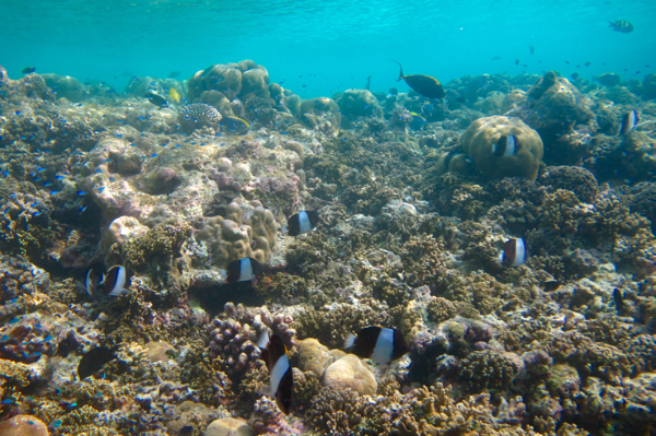 e0338303_1413971.jpg