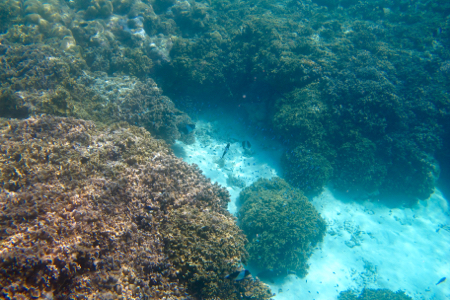 e0338303_1423879.jpg