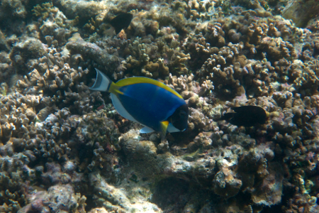 e0338303_1431651.jpg