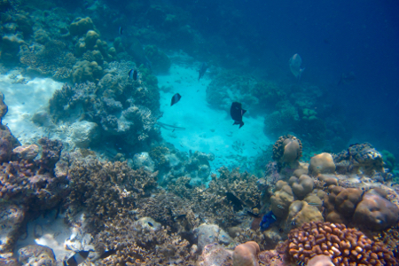 e0338303_1444526.jpg