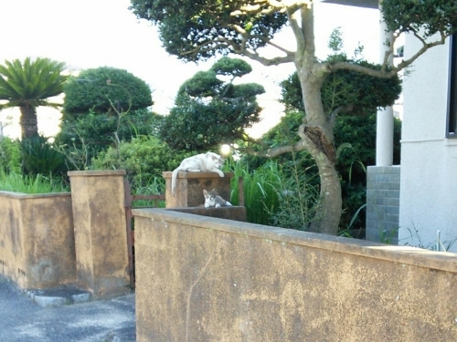 b0307008_19464563.jpg