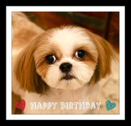 Happy Birthday♡エンカちゃん_d0060413_1851694.jpg