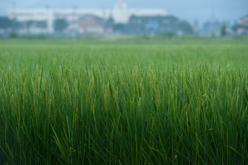 a0278914_11184796.jpg