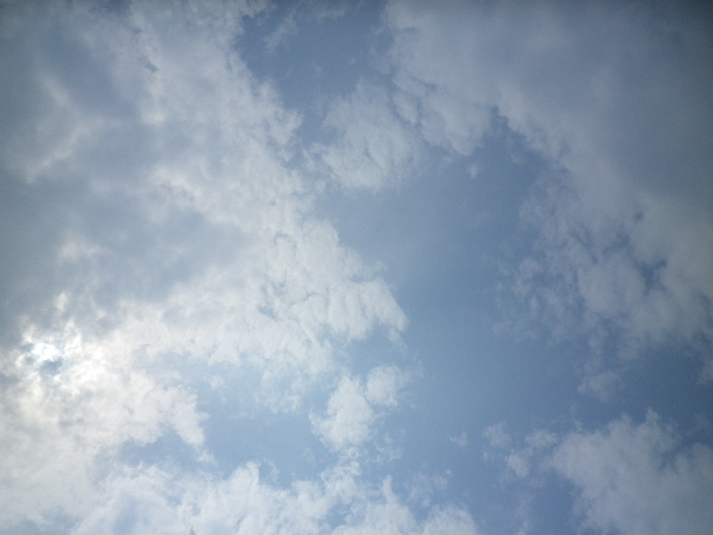 e0052716_9355383.jpg