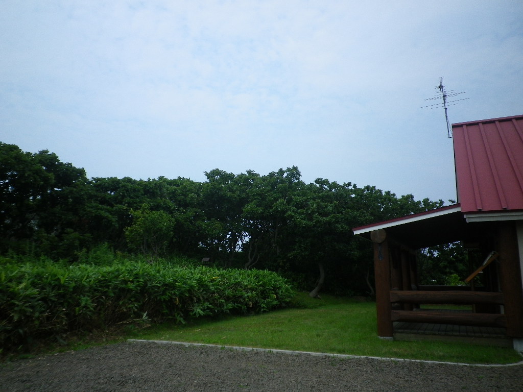 e0052716_9372333.jpg