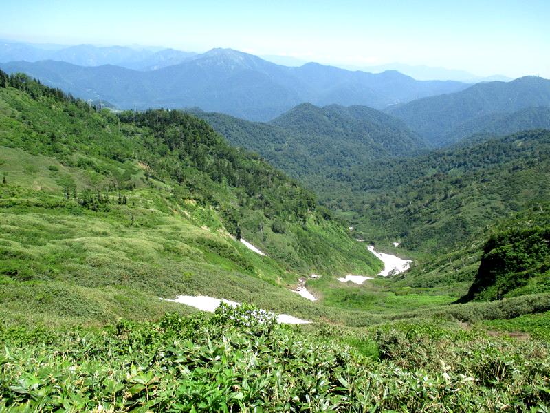 上信越　苗場山の山上湿原を訪ねて　　　　　Mount Naeba in Jōshin\'etsu-kōgen National Park_f0308721_17112871.jpg