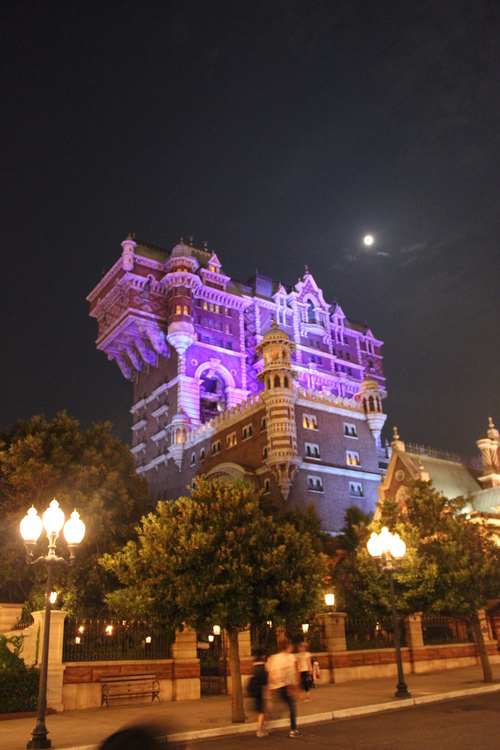 e0249526_8495579.jpg