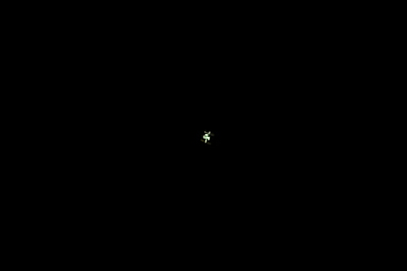 d0137627_195553.jpg