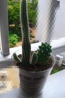 伸びてる。色々と_b0320131_22024160.png