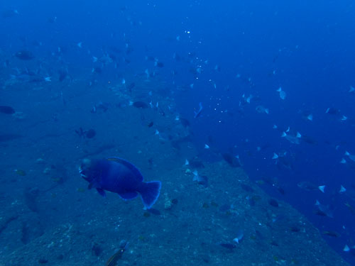 d0164831_17262742.jpg